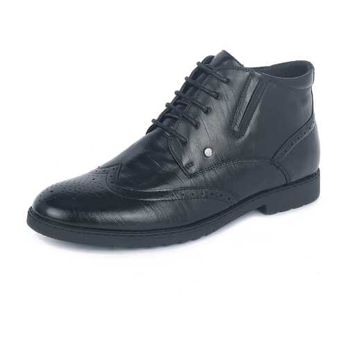 Ботинки мужские T.Taccardi K5127MH-4A черные 43 RU в Конверс
