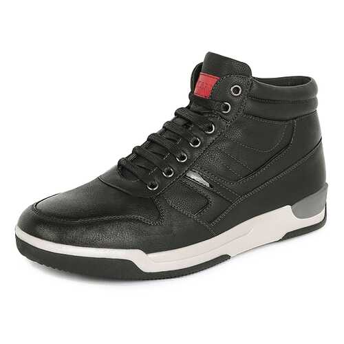 Ботинки мужские T.Taccardi K5141MH-2A черные 42 RU в Конверс