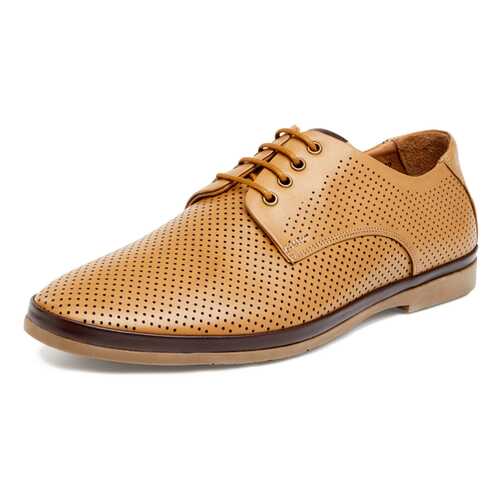 Туфли мужские Pierre Cardin 710017657 коричневые 40 RU в Конверс