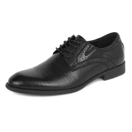 Туфли мужские T.Taccardi 03407130 черные 43 RU в Конверс